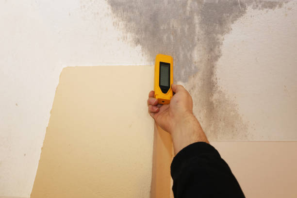  Point Pleasant Beach, NJ Mold Removal Pros