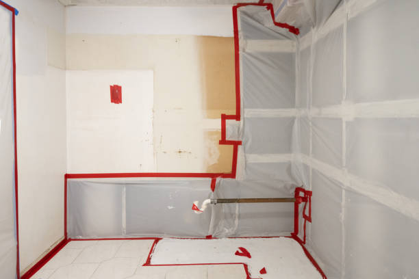 Best Mold Prevention Services  in Point Pleasant Beach, NJ
