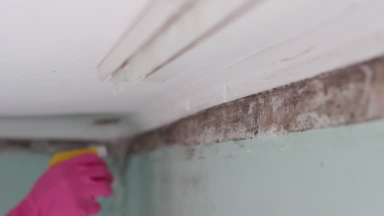Best HVAC Mold Inspection and Cleaning  in Point Pleasant Beach, NJ